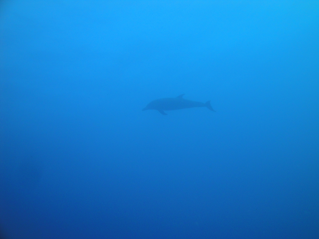 DSC00311.JPG