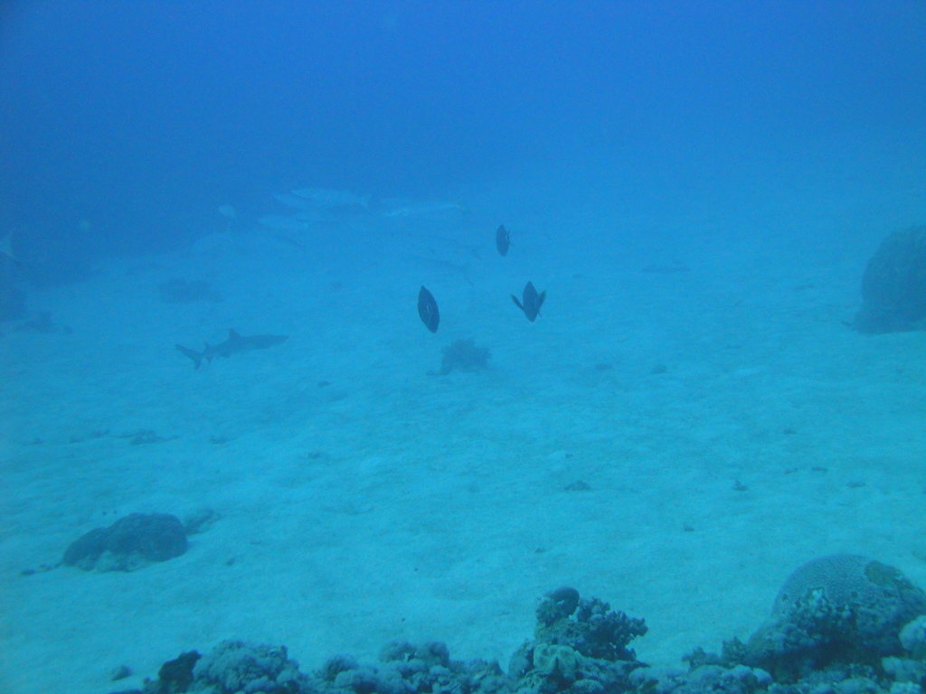 DSC00314.JPG