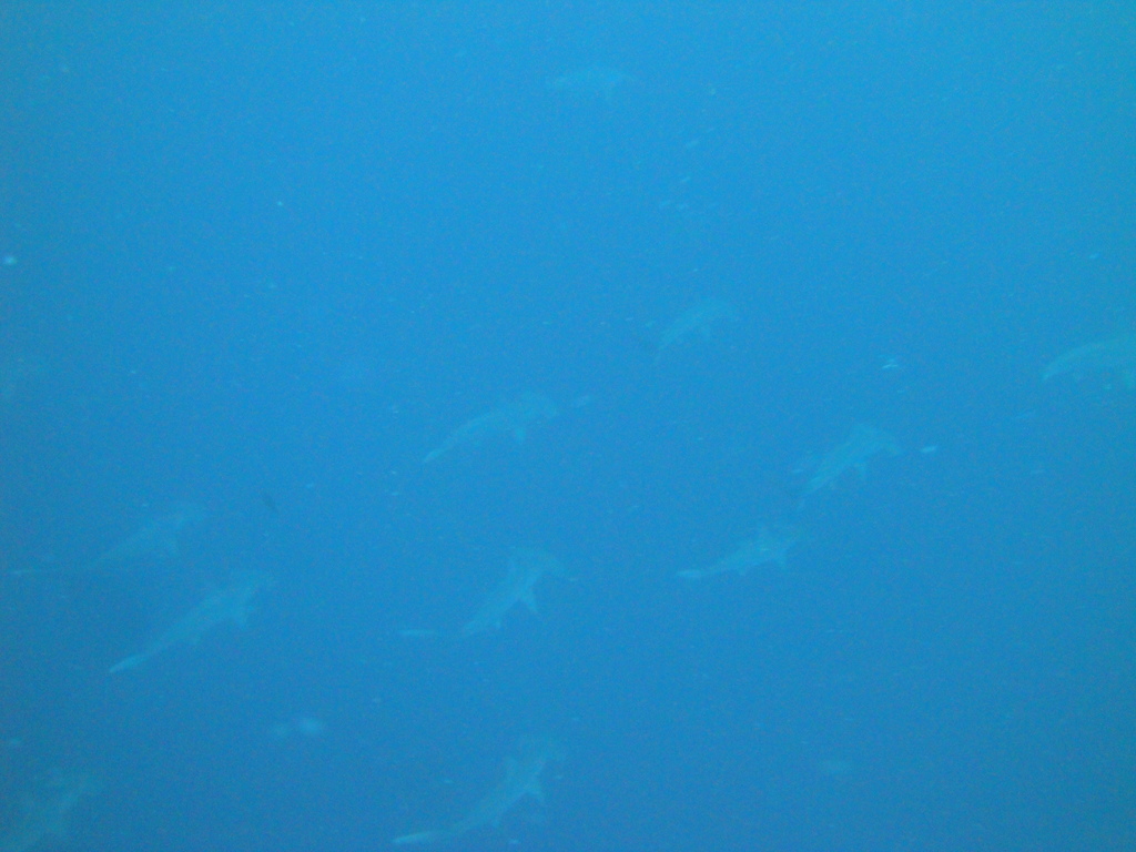 DSC00362.JPG