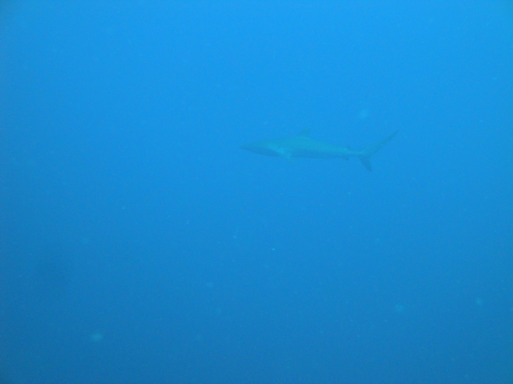 DSC00372.JPG