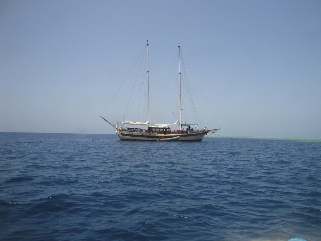 DSC00390.JPG