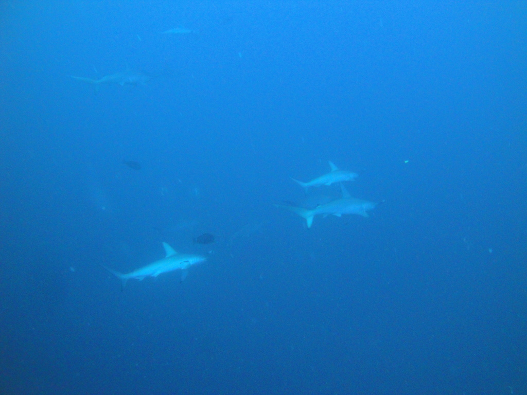 DSC00449.JPG