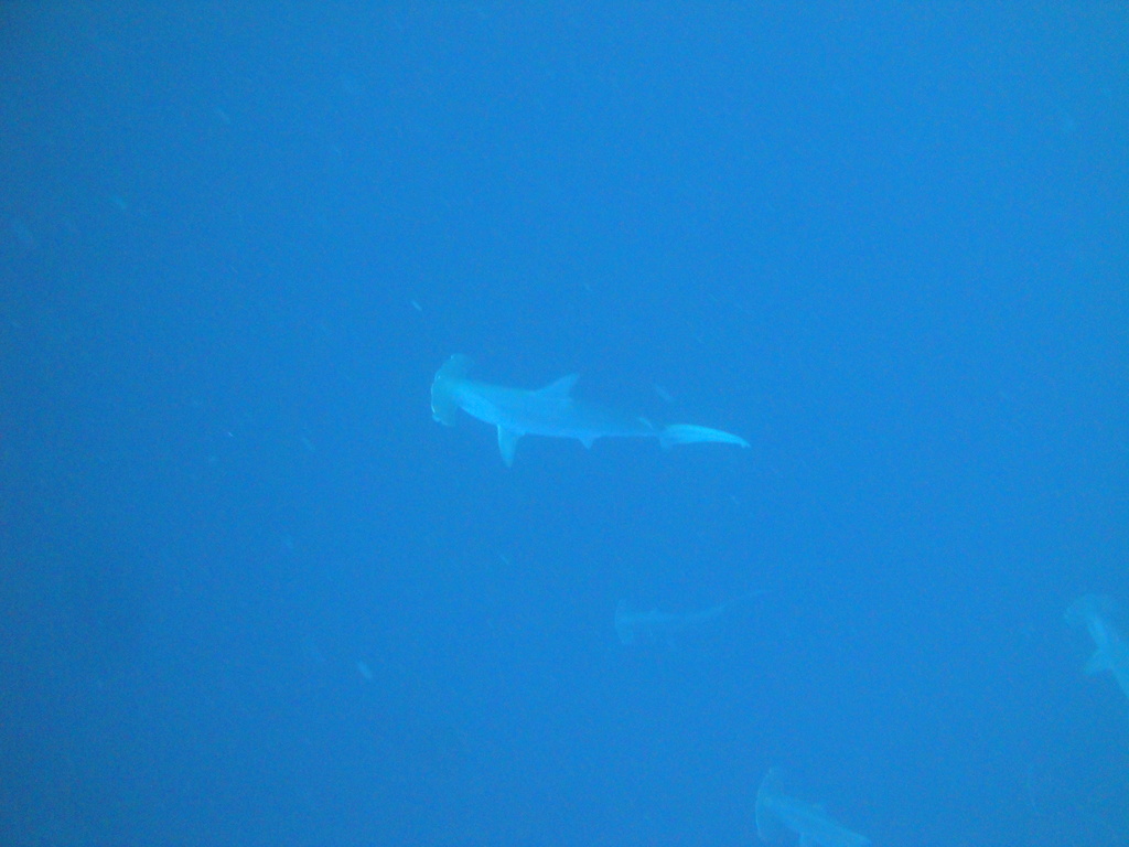 DSC00465.JPG