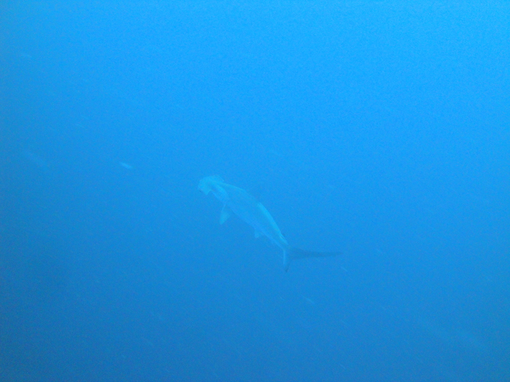 DSC00470.JPG
