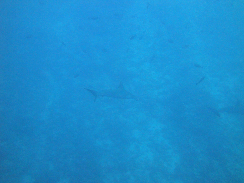 DSC00488.JPG