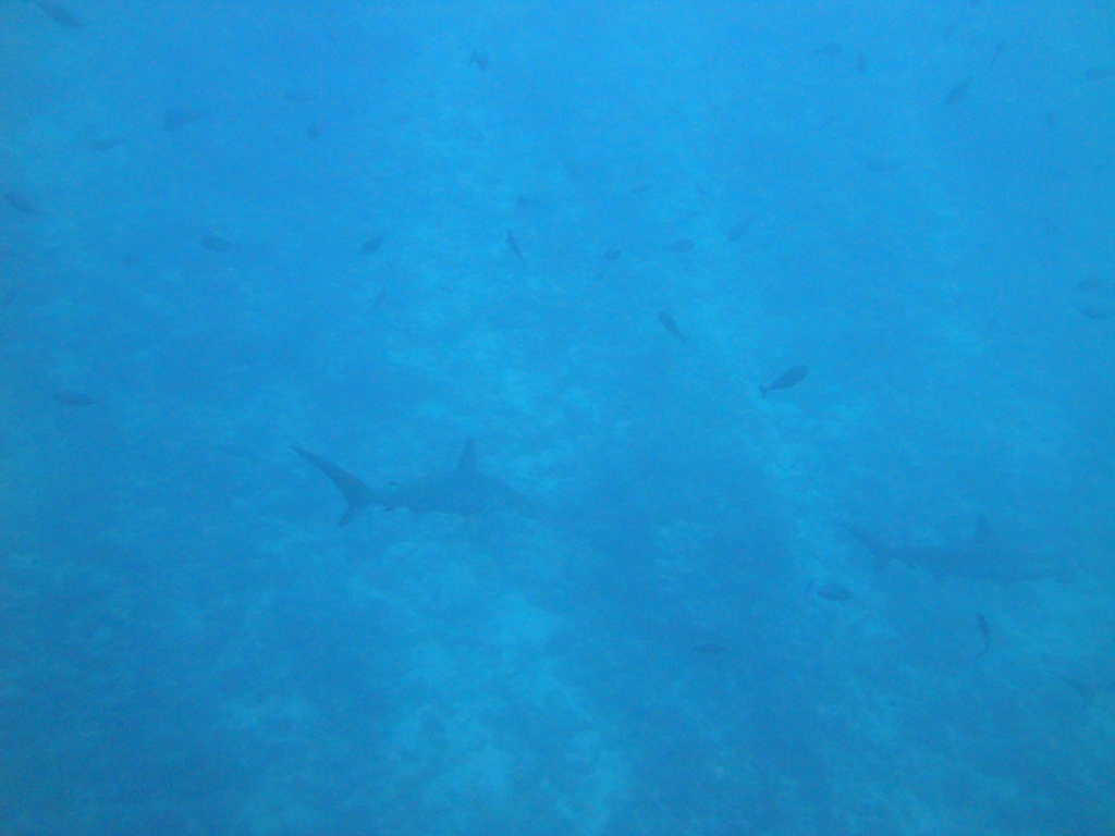 DSC00490.JPG