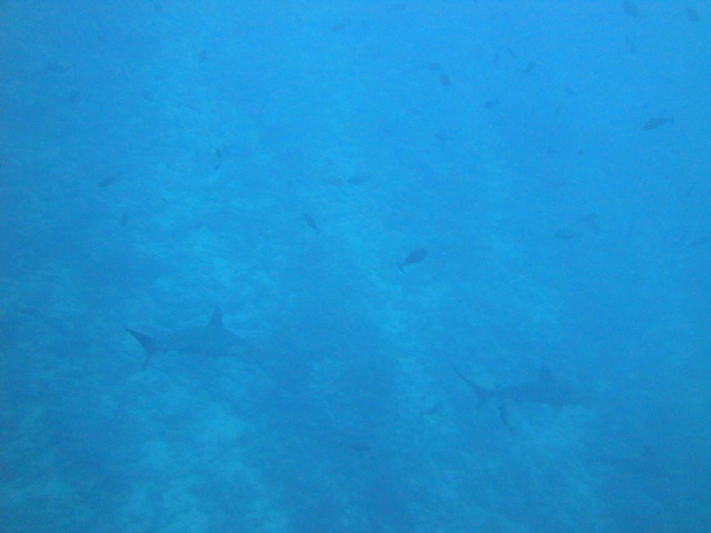 DSC00491.JPG