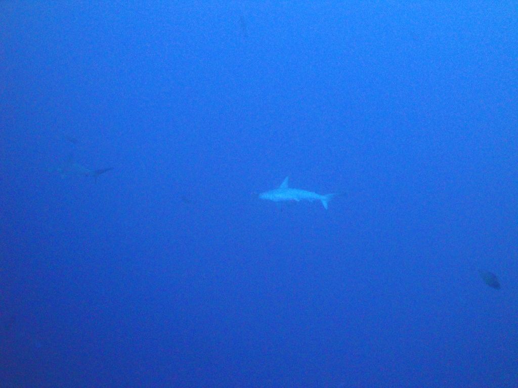 DSC00544.JPG