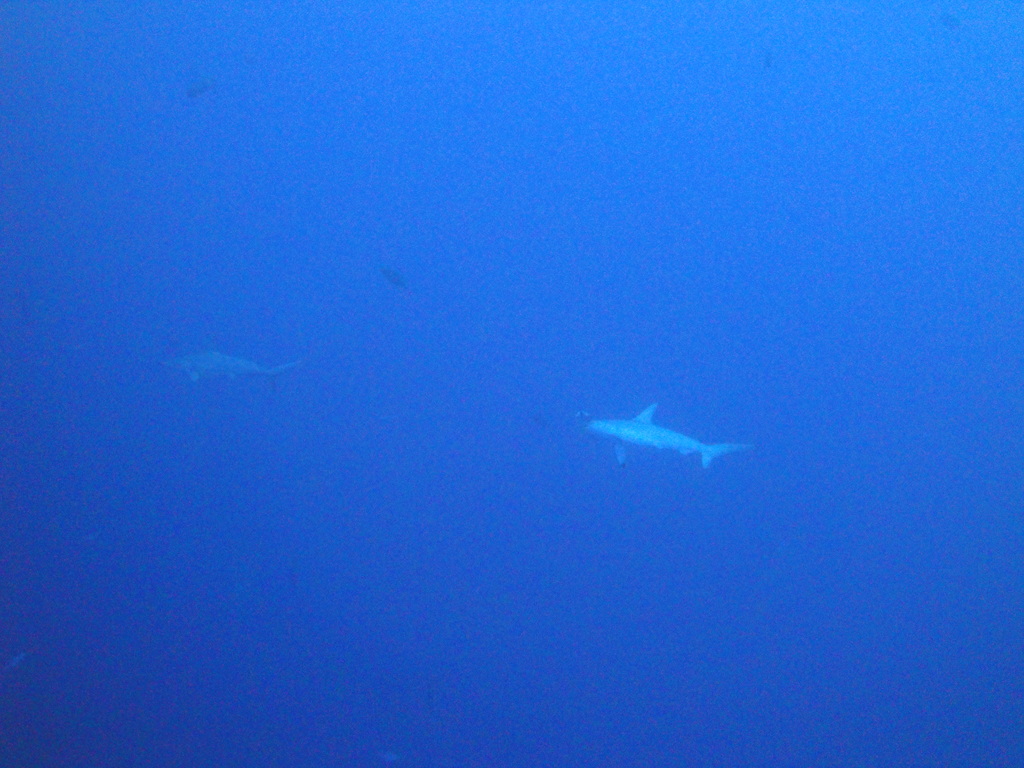 DSC00548.JPG
