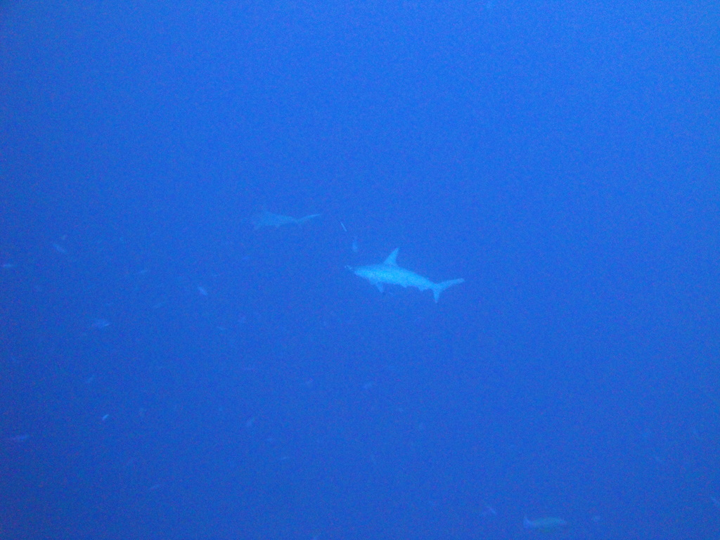 DSC00552.JPG