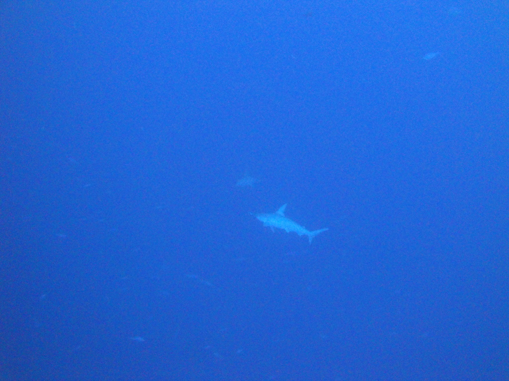 DSC00556.JPG