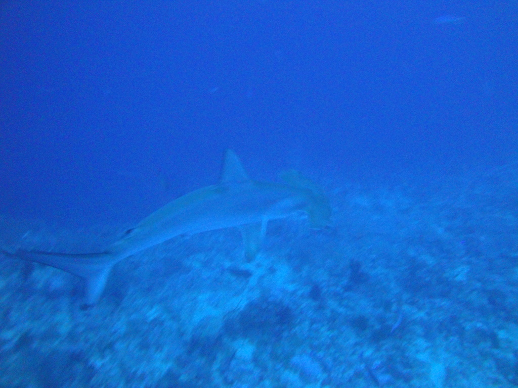 DSC00575.JPG