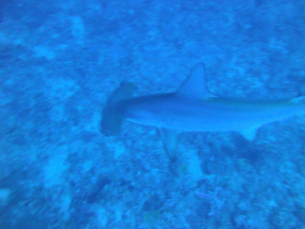 DSC00580.JPG