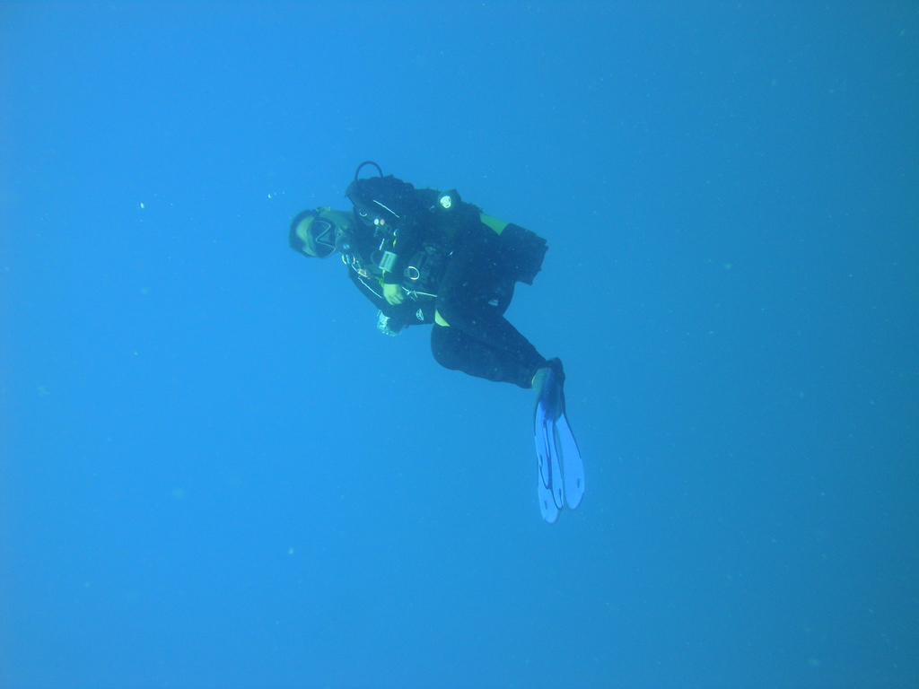 DSC00684.JPG