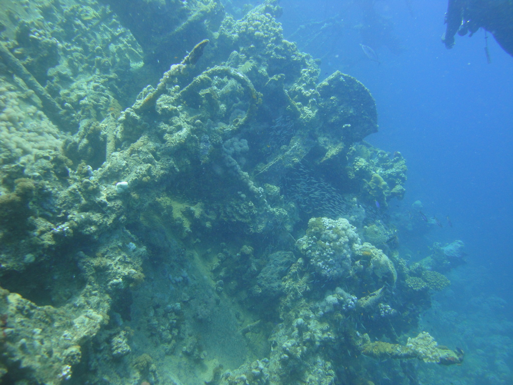 DSC00685.JPG