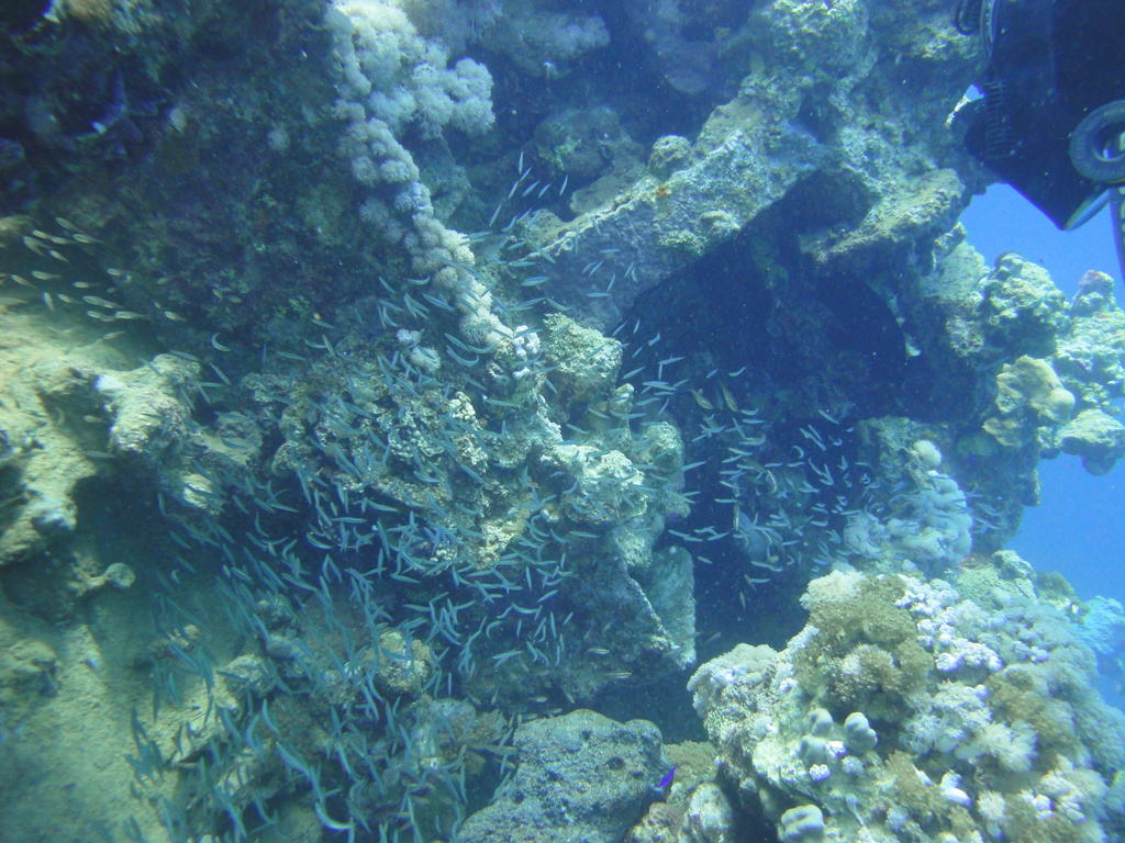 DSC00686.JPG