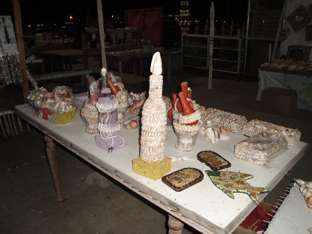 DSC00728.JPG