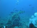DSC00044.JPG