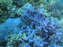 DSC00053.JPG