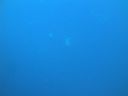 Dateiname=DSC00164.JPG
Dateigröße=241KB
Abmessungen: 1024x768
hinzugefügt am: 05. August 2014 DSC00164.JPG
