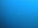 DSC00188.JPG