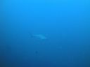 Filename=DSC00193.JPG
Filesize=257KiB
Dimensions=1024x768
Date added=Aug 05, 2014 DSC00193.JPG