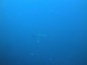 Filename=DSC00199.JPG
Filesize=257KiB
Dimensions=1024x768
Date added=Aug 05, 2014 DSC00199.JPG