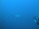 Filename=DSC00200.JPG
Filesize=264KiB
Dimensions=1024x768
Date added=Aug 05, 2014 DSC00200.JPG