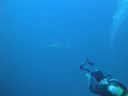 Filename=DSC00202.JPG
Filesize=282KiB
Dimensions=1024x768
Date added=Aug 05, 2014 DSC00202.JPG