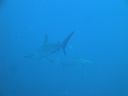 Filename=DSC00210.JPG
Filesize=234KiB
Dimensions=1024x768
Date added=Aug 05, 2014 DSC00210.JPG