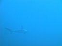 Filename=DSC00216.JPG
Filesize=255KiB
Dimensions=1024x768
Date added=Aug 05, 2014 DSC00216.JPG