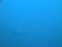 Filename=DSC00222.JPG
Filesize=233KiB
Dimensions=1024x768
Date added=Aug 05, 2014 DSC00222.JPG