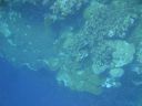 DSC00233.JPG