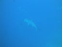 DSC00243.JPG