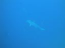 DSC00244.JPG