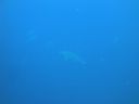 DSC00245.JPG