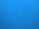 DSC00246.JPG