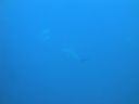 DSC00247.JPG