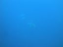 DSC00248.JPG
