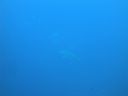 DSC00249.JPG