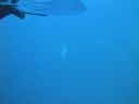 DSC00255.JPG