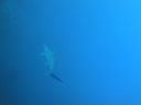 DSC00256.JPG
