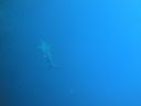 DSC00257.JPG