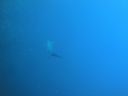 DSC00258.JPG