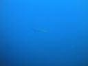 DSC00263.JPG