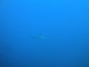 DSC00267.JPG