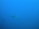DSC00269.JPG