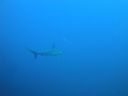 DSC00272.JPG