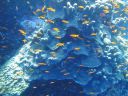 DSC00283.JPG