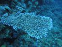 DSC00285.JPG